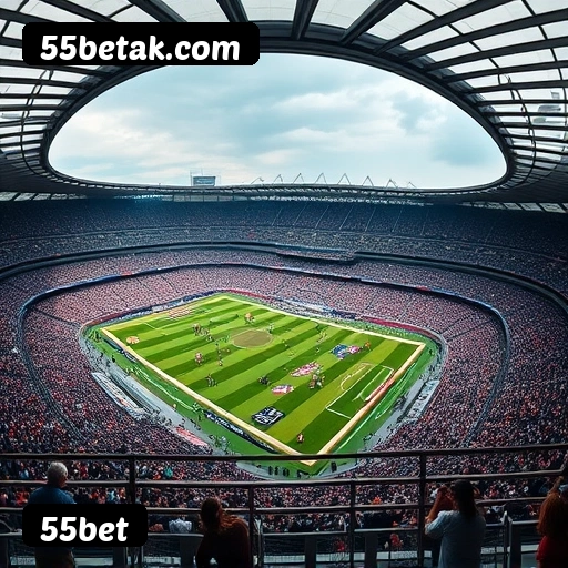 Suporte 24 horas 55bet